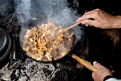 Pilze sollten innerhalb von 24 Stunden gegessen werden. Kommt man nicht dazu, ist Trocknen oder Einfrieren eine Methode, um sie haltbar zu machen. - © Zacharie Scheurer/dpa-tmn