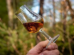 Bleibt beim Besuch in der Destillerie St. Kilian nicht aus: eine Whiskyprobe. - © Andreas Drouve/dpa-tmn