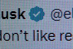 Die weißen Haken auf blauem Untergrund sind auf X nur noch mit Abo zu bekommen. (Archivbild) - © Stefan Jaitner/dpa