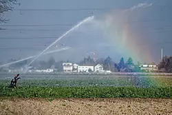 Das seit Tagen anhaltende trockene Frühlingswetter soll am Sonntag vielerorts vorerst vorbei sein. - © Henning Kaiser/dpa