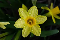 Die trockene Zeit neigt sich dem Ende zu: Ab der Nacht zum Sonntag zieht Regen auf. (Symbolbild) - © Pia Bayer/dpa