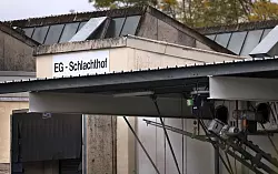 Seit dem Sommer 2023 ist der Schlachthof Aschaffenburg in den Schlagzeilen. - &copy; Karl-Josef Hildenbrand/dpa