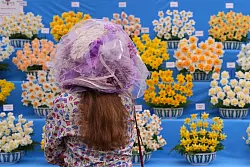 Chelsea Flower Show: Sehen und gesehen werden. - © Kirsty Wigglesworth/AP/dpa