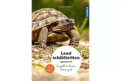 «Landschildkröten. So geht es deinen Tieren gut», Svenja Wilms, Kosmos Verlag, 96 Seiten, 12 Euro, ISBN: 978-3-440-17848-5. - © Kosmos Verlag/dpa-tmn