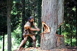 Ein Mann f&auml;llt einen Baum f&uuml;r den Nachbau eines steinzeitlichen Kanus. - &copy; Yousuke Kaifu/dpa
