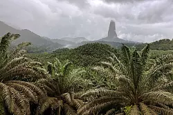 Der 663 Meter hohe Monolithberg Pico Cão Grande ragt im Süden von São Tomé einsam auf. - © Manuel Meyer/dpa-tmn