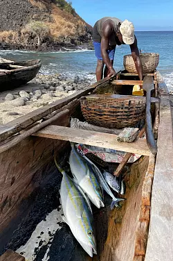 Ein Fischer bringt in der Lagoa Azul auf São Tomé seinen Fang an Land. - © Manuel Meyer/dpa-tmn