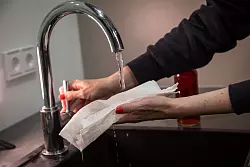 Schritt 1: Küchenpapier mit Wasser befeuchten. - © Christin Klose/dpa-tmn