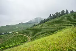 In Baden-Württemberg registrierte der DWD die größten Regenmengen. (Symbolbild) - © Silas Stein/dpa