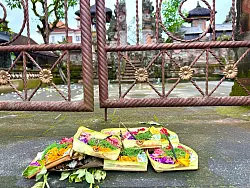 T&auml;gliche Opfergaben geh&ouml;ren zum Alltagsleben in Bali dazu. - &copy; Carola Frentzen/dpa