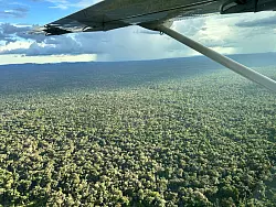 Der dichte, smaragdgrüne Regenwald wirkt wie ein endloses Paradies. - © Philipp Znidar/dpa