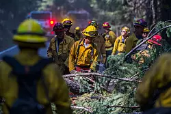 Schon jetzt handelt es sich um den gr&ouml;&szlig;ten Waldbrand des laufenden Jahres in Kalifornien. - &copy; Nic Coury/AP/dpa