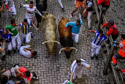 Die Besucher kommen aus den verschiedensten Regionen Spaniens und aus aller Welt - auch aus Deutschland und insbesondere aus den USA. (Archivbild) - &copy; Alvaro Barrientos/AP/dpa