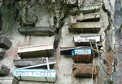 Skurrile Sehenswürdigkeit: Bei Sagada hängen Särge an der Felswand. Das Bergvolk der Igorots glaubte, dass die Seele der Toten unter der Erde erstickt. - © Bernd Kubisch/dpa-tmn