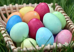 Ein Legehuhn produziert bis zu 300 Eier im Jahr. (Archivbild) - © Caroline Seidel/dpa