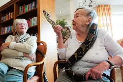 Gerda Hachmann hat sich Boa Constrictor Lilly um den Hals legen lassen. - &copy; Ulrich Perrey/dpa