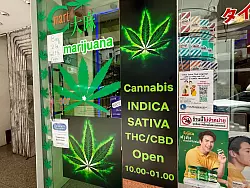 Cannabis-Shops schossen nach der Legalisierung 2022 wie Pilze aus dem Boden. - &copy; Carola Frentzen/dpa