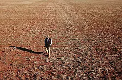 Ein Getreidebauer geht während einer Dürreperiode in Australien 2018 über sein vertrocknetes Rapsfeld. (Archivbild) - © Dean Lewins/AAP/dpa