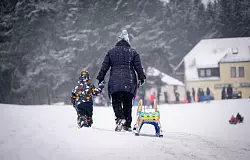 Noch ein letztes Mal Schlittenfahren, bevor die Warmfront kommt. - &copy; Benjamin Westhoff/dpa