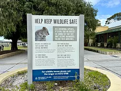 Schilder erl&auml;utern den richtigen Umgang mit den Beuteltieren. - &copy; Carola Frentzen/dpa