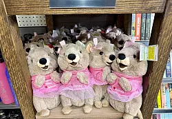 Auf Rottnest Island steht alles im Zeichen der Quokkas - auch die Souvenirs. - &copy; Carola Frentzen/dpa