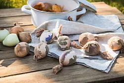 Wer Ostereier mit natürlichen Mustern verzieren möchte, kann sie mit Blüten, Blättern und Zwiebelschalen auf traditionelle Weise färben. - © Christin Klose/dpa-tmn