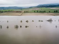Wiesen und Felder werden vom Hochwasser der Weser &uuml;berflutet. - &copy; Ole Spata/dpa