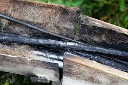 Der Brand hat erhebliche Auswirkungen auf den Zugverkehr. - &copy; Christoph Reichwein/dpa