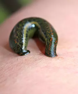 - &copy; Sandra Castrup