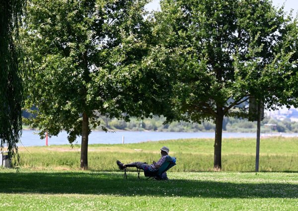 Ein Mann hat sich ein schattiges Plätzchen am Ufer des Rheins in Leverkusen gesucht. (Archivbild) - © Roberto Pfeil/dpa