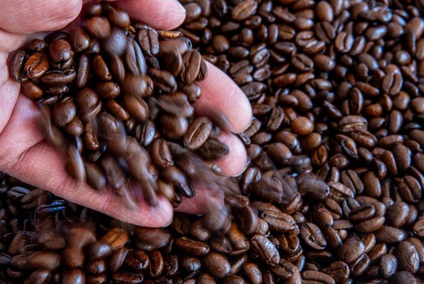 Kaffee erreicht nicht mehr so viele Käufer wie früher. (Symbolbild) - © Jens Büttner/dpa