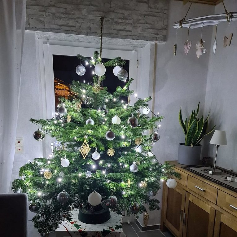 Weihnachtsbäume in Lippe