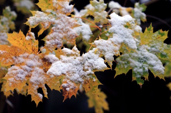 Nächste Woche zeigt sich der Frühwinter. - © Karl-Josef Hildenbrand/dpa