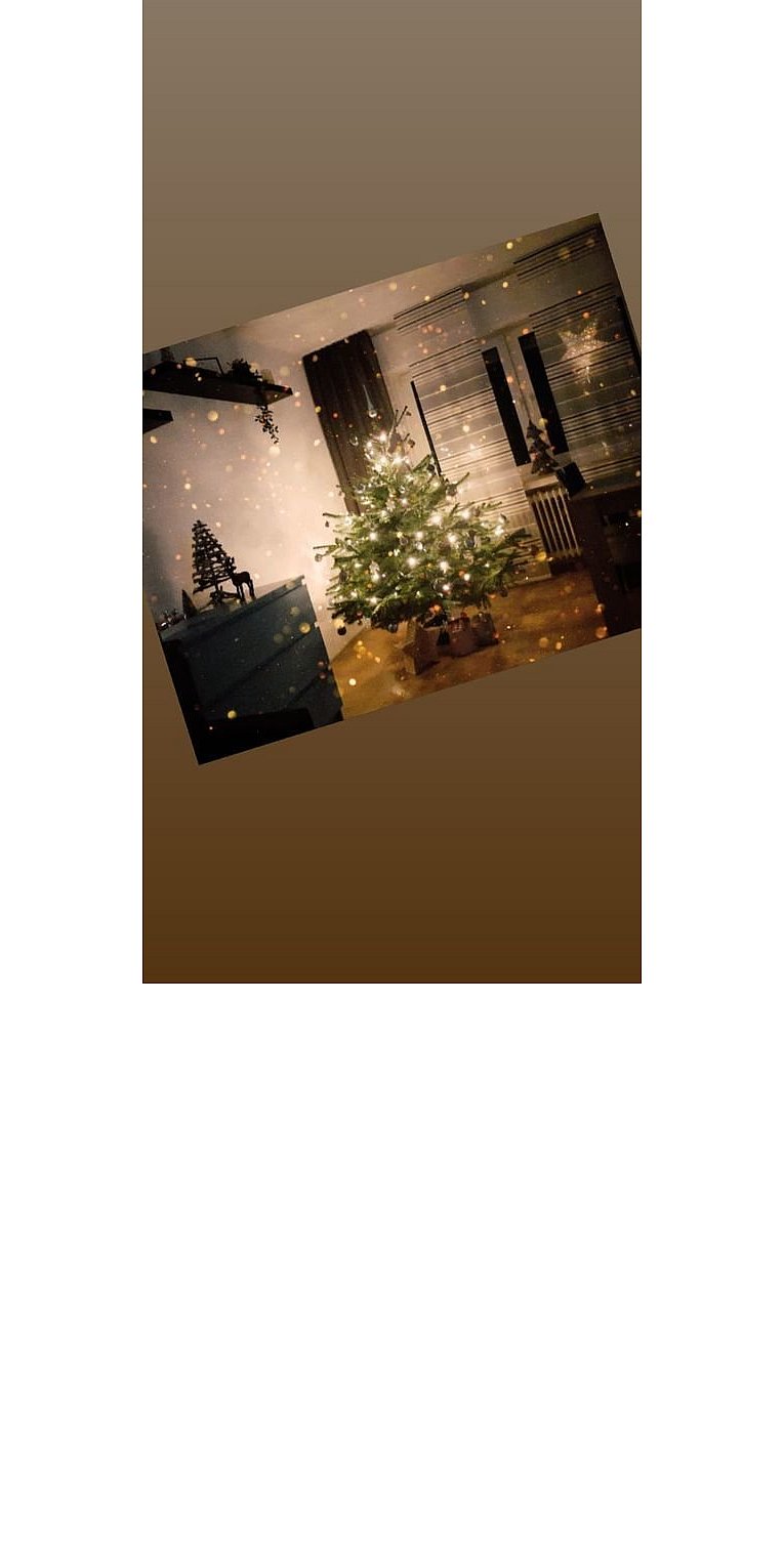 Weihnachtsbäume in Lippe
