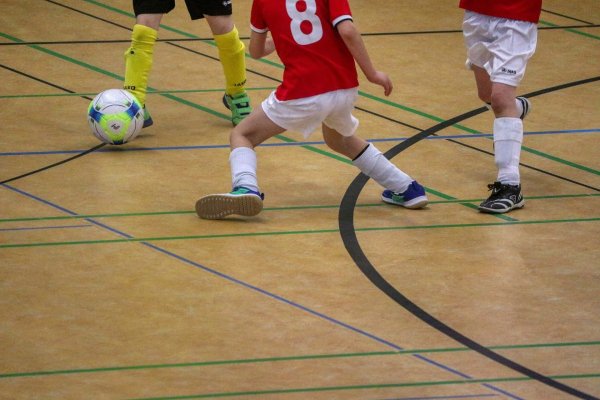 Für den Sportverband soll eine neue Stelle geschaffen werden. - © Pixabay/planet_fox