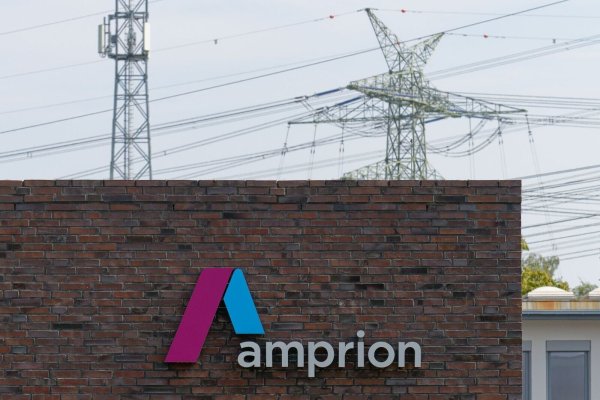 Als Folge des geplanten Vorrangs für Freileitungen hält Amprion längere Genehmigungsverfahren für möglich. - © Henning Kaiser/dpa
