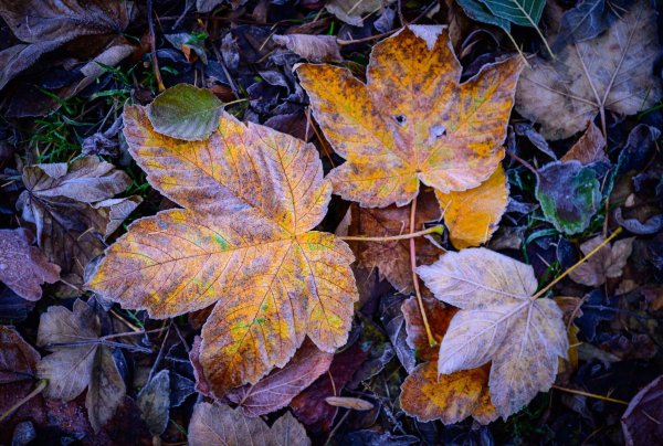 Es herrscht kaltes Winterwetter in Nordrhein-Westfalen. (Symbolfoto) - © Patrick Pleul/dpa
