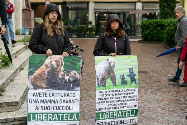 In Italien haben Umweltschützer für die Befreiung von der Bärin JJ4 demonstriert. (Archivbild) - © Enrico Pretto/LaPresse via ZUMA Press/dpa