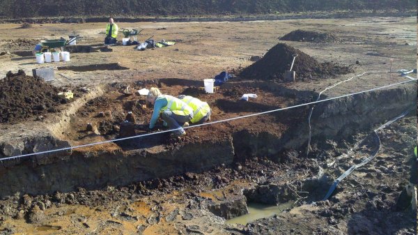 Dieses von Oxford Archaeology zur Verfügung gestellte Foto zeigt die Ausgrabungsstätte im mittelenglischen Aylesbury. - © -/Oxford Archaeology/dpa