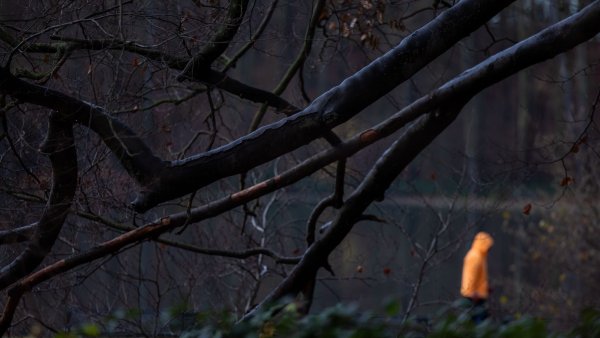 Nach eisigen Tagen könnte es in dieser Woche etwas wärmer werden. (Symbolbild) - © Rolf Vennenbernd/dpa