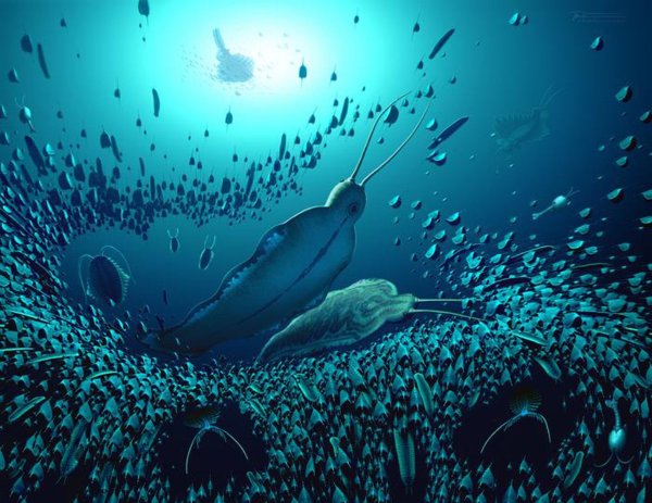 Der lateinische Name des Raubwurms, Timorebestia, bedeutet in etwa «furchteinflößende Bestie». - © Bob Nicholls/BobNichollsArt/University of Bristol/dpa