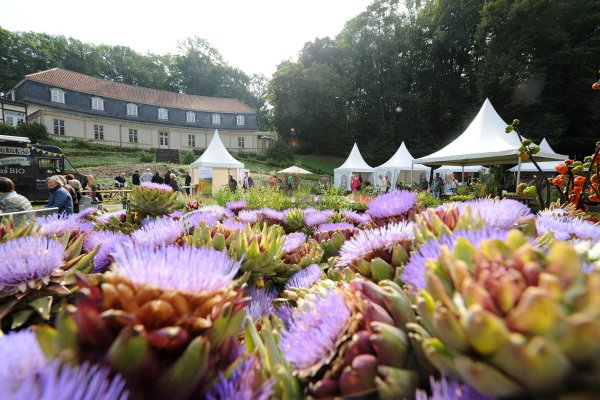 Freilichtgenuss_1_ und 3LWL_Klein..Im Eingangsbereich vor dem Krummen Haus breiten unter anderem Biogärtnereien.ihre Pflanzen aus. - © LWL/Klein