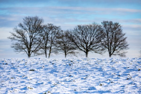 Das frostige, aber sonnige Wetter lockte viele Menschen nach draußen. - © Thomas Banneyer/dpa