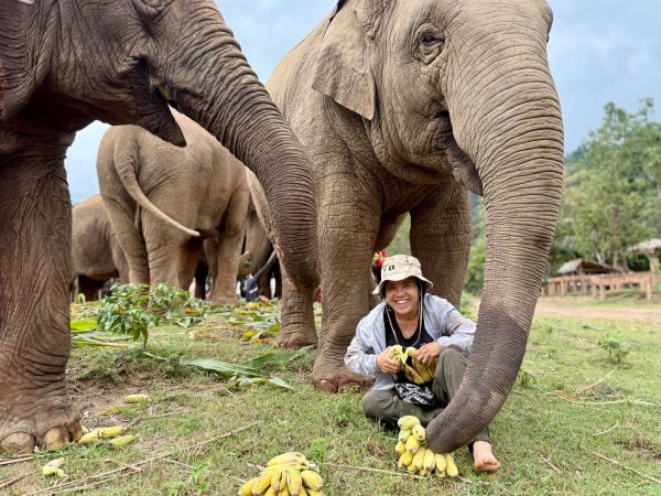 Saengduean «Lek» Chailert verbringt täglich viel Zeit mit ihren Elefanten. - © Carola Frentzen/dpa
