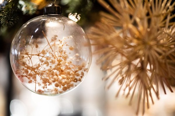 Filigran: mit Trockenblumen gefüllte transparente Christbaumkugel. - © Franziska Gabbert/dpa-tmn