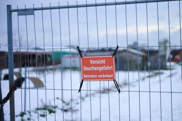„Vorsicht Seuchengefahr!“ steht auf einem Schild an einem Betrieb in Mehrow. Zum Schutz vor einer möglichen Ausbreitung der Maul- und Klauenseuche sollen am Vormittag vorsorglich rund 200 Schweine im brandenburgischen Landkreis Barnim getötet werden. Nun hat Südkorea Schweinefleischimporte aus Deutschland verboten. - © Annette Riedl/dpa
