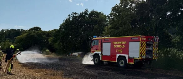 Einen Feldbrand hat die Detmolder Feuerwehr in Brokhausen löschen müssen. - © Feuerwehr Detmold