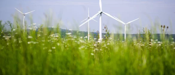 Allein im Kreis Paderborn drehen sich aktuell rund 500 Windräder. Doch die Netze sind dafür kaum ausgelegt - das müssen letztlich die Verbraucher zahlen. - © Julian Stratenschulte/dpa