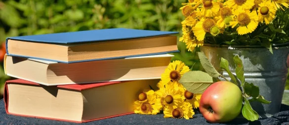 Die Stadtbücherei Lemgo lädt zum Literturherbst. - © Symbolbild: Pixabay