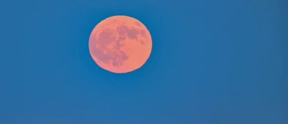 Mittwochabend gegen 22 Uhr wird der Erdbeermond, ein seltenes Naturphänomen, in OWL am Himmel stehen. Doch spielt das Wetter auch mit? - © Patrick Pleul/dpa